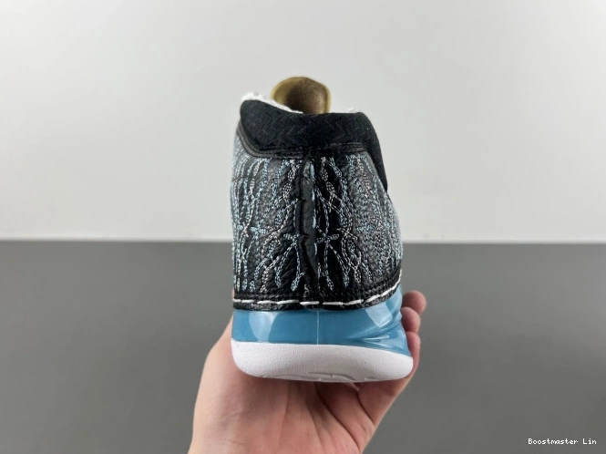 Boostmaster lin UNC 318376-041 Jordan 23 0723